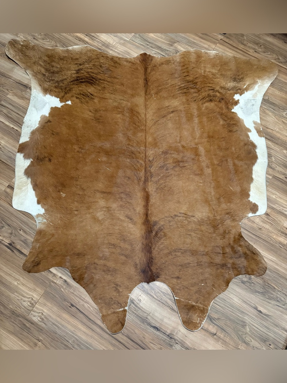 Genuine Brown and White Cowhide Rug from Brazil -